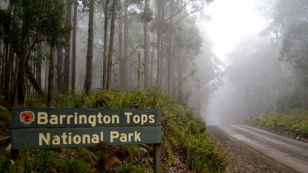 Barrington Tops National Park